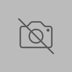 LEGGING STREET EMPINA BUMBUM WILD EXCLUSIVO